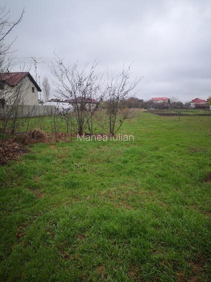 Teren de vânzare – Cornetu, Ilfov – Strada Bradului - 3