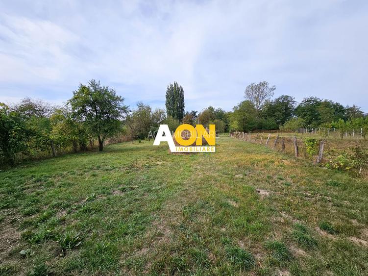 Casa cu 4 camere, 2024 mp teren, la asfalt, cu utilitati, Vintu de Jos - 4