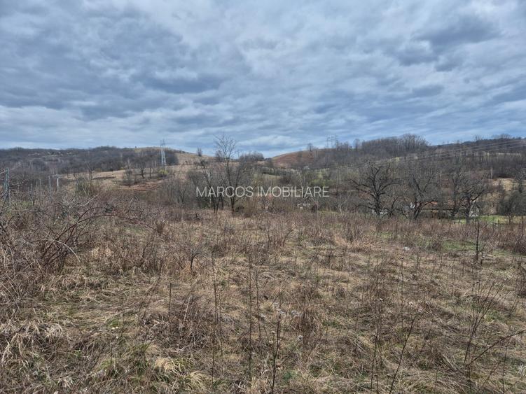 Vand 2 parcele de 5700 mp zona Iabalcea - 6