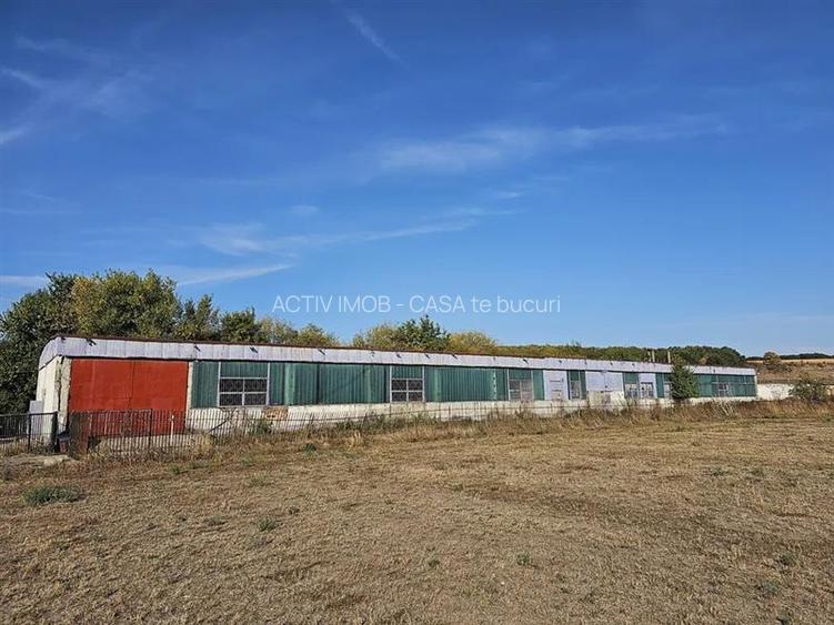 Hala industriala (1000 mp) si teren (4000 mp), Scornicesti, Trafo - 2