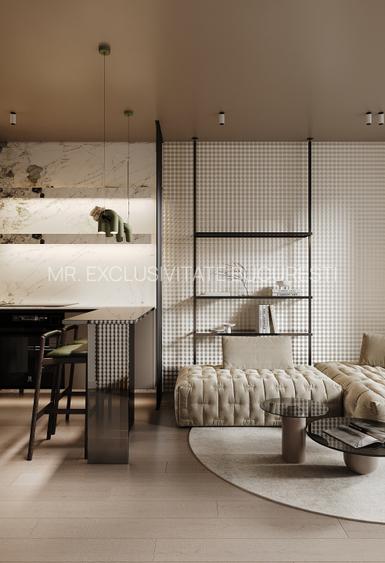 Studio Prima Astera Drumul Taberei - 15