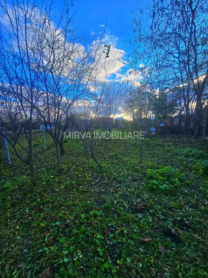 Exclusivitate! Casă cu teren generos în Sat Olteni, Com.Teișani - 13