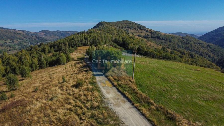 Comision 0% teren intravilan 1000 mp, PUZ, priveliste, Baisoara - 7