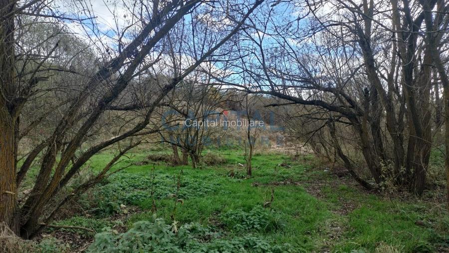 Teren intravilan de vanzare cu Autorizatie de constructie, Feleacu  - 4