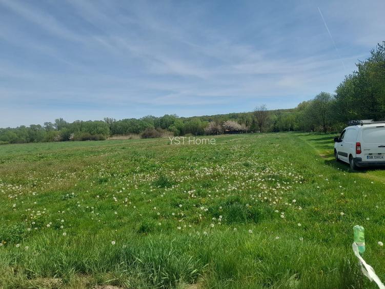 Teren de vanzare intravilan 5000 m2 Cisnadie zona SOMA - 2