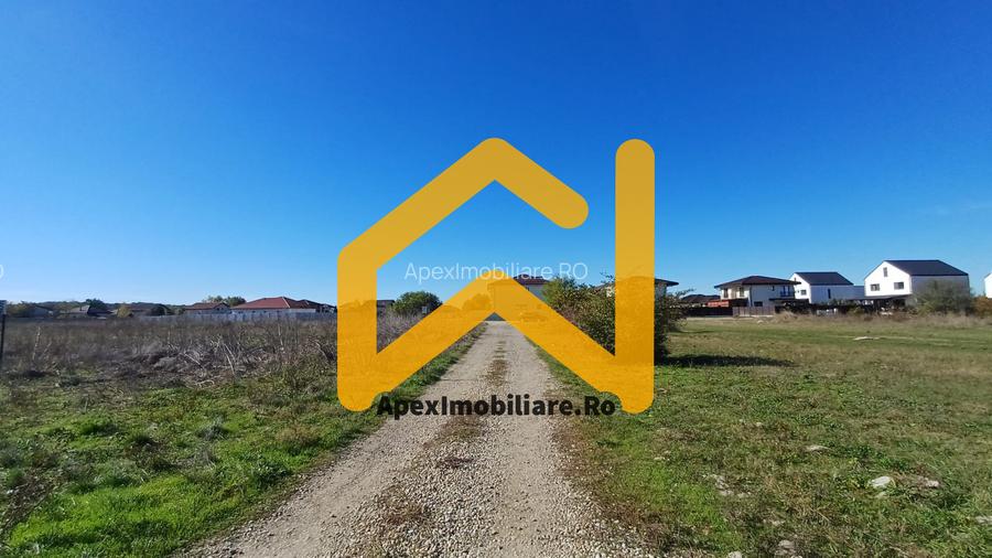 Corbeanca - Tamasi | Teren 1225mp, deschidere 44ml | Utilitati la 50m - 11