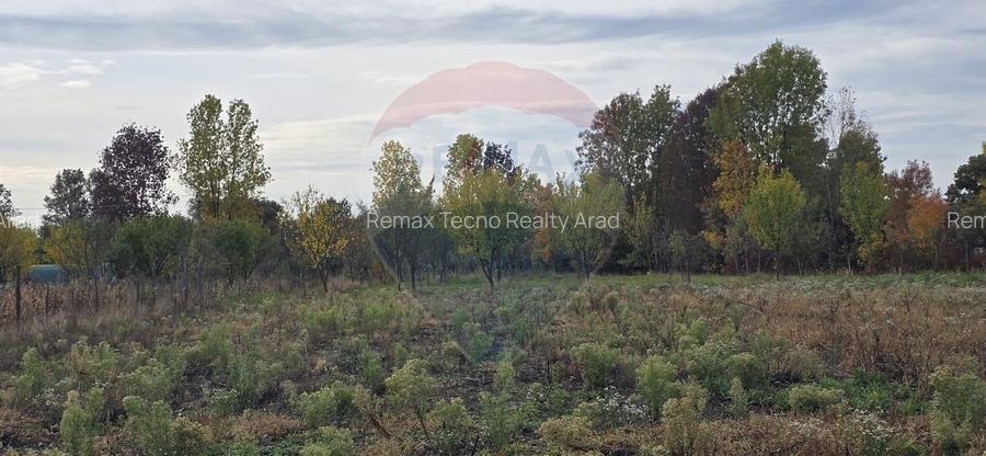 Teren generos cu potential în comuna Silindia, judetul Arad - 5