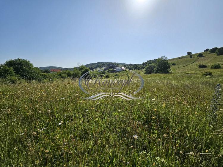 Teren construibil in proximitatea pensiunii ”La Mesteceni” - 2