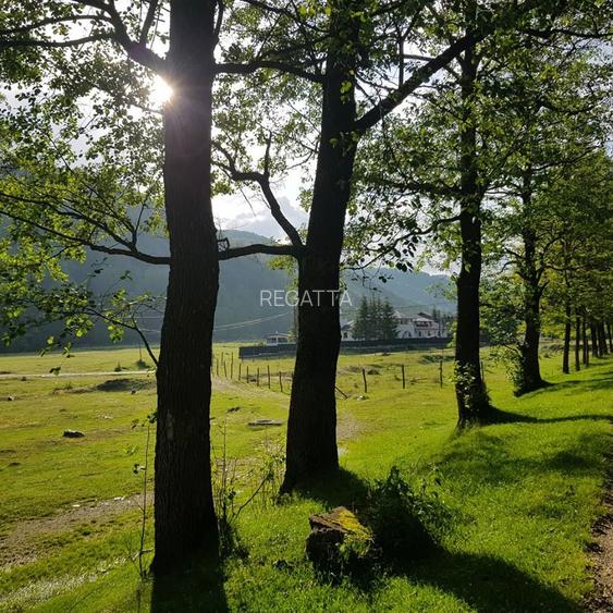 OPORTUNITATE ! Conac BRANCOVENESC Complet Renovat de Vanzare ! - 14