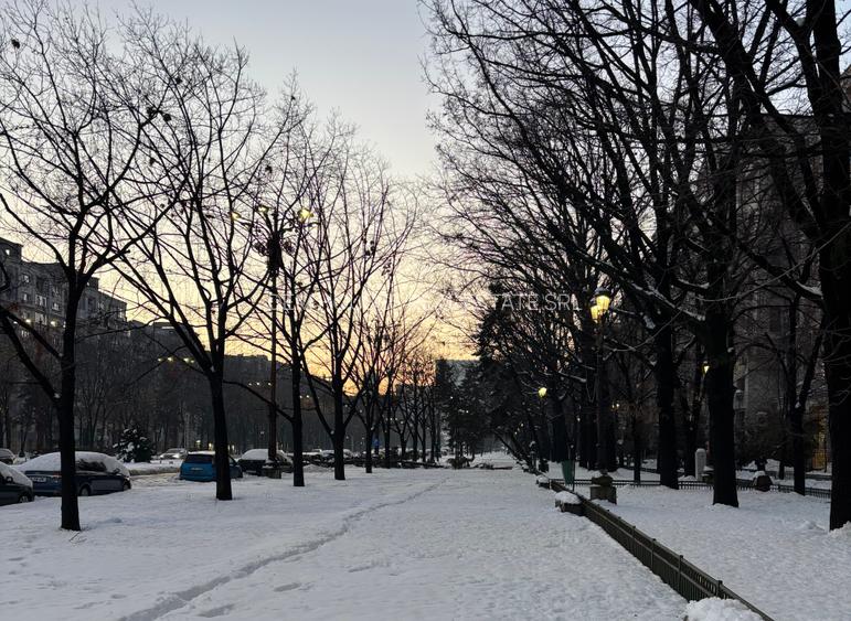 Ultracentral,fix la FANTANA MARE,panorama superba,monolit,stradal pe Bulevard - 2