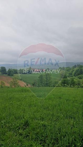 Teren 2,723mp Bratca / Drumul principala - 2