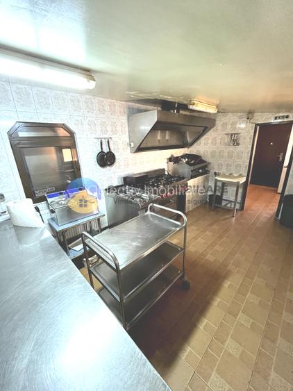 COMPLEX TURISTIC  comuna COSTISA - Afacere la cheie - 13