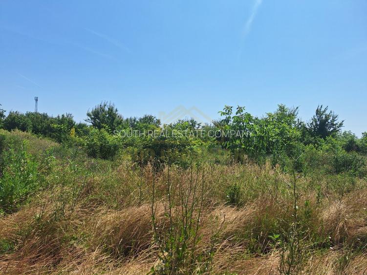 TEREN INTRAVILAN 1500 MP-STRADAL-MIRASLAU-ECHINOCTIULUI - 3