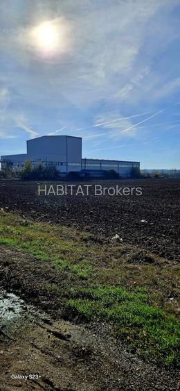 Teren intravilan 15.000 mp – DN2 Afumați - 8