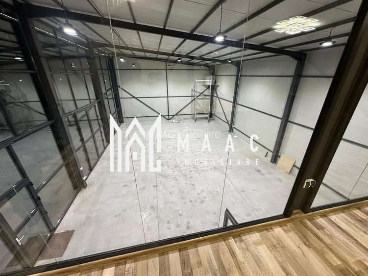 Hala | 250 MP | Teren 11.000 mp | - 6