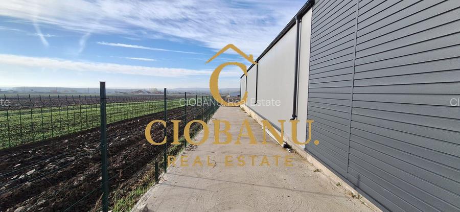 Hala de vanzare in Racari de Jos - 13