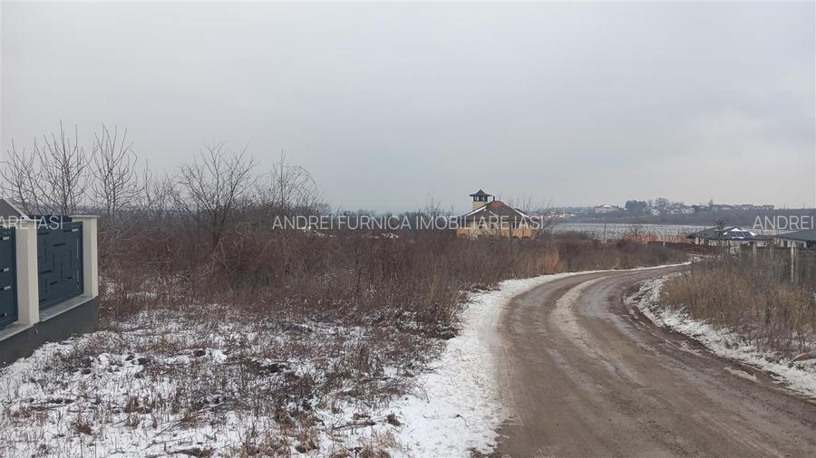 Visan str Dealul Craitelor TEREN 6383mp  si 4217mp utilitati  si transport in co - 6