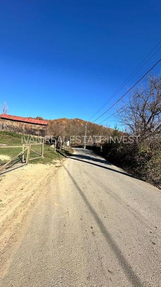 Teren 4044mp, 18 km de Campina, asfalt, utilitati, pretabil investitie - 6