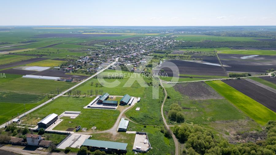 Black Angus Farm with authorized Slaughterhouse - 7