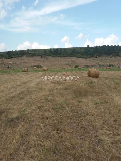 Teren intravilan Luna de Jos 9800 mp front la DJ 52,2 m - 2