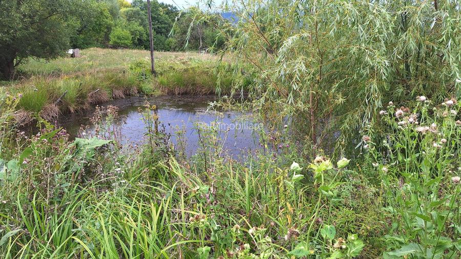 VANZARE ANSAMBLU CASUTE BRADULET ARGES - 21