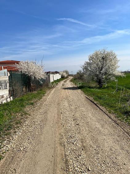 De vanzare lot teren intravilan Dumitrana Magurele - 6