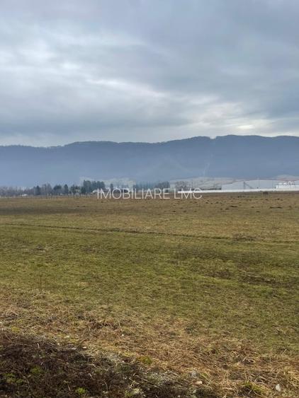 Teren Construcții intravilan de 11500 mp, în Bartolomeu - 8