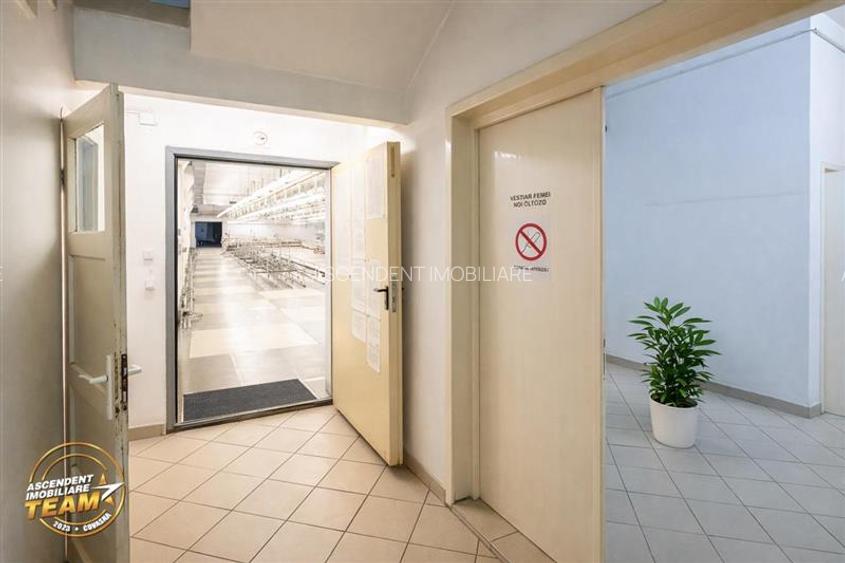 Apreciabil ansamblu:industrial+productie+ birouri+6.322mp teren,Bretcu,Covasna - 26