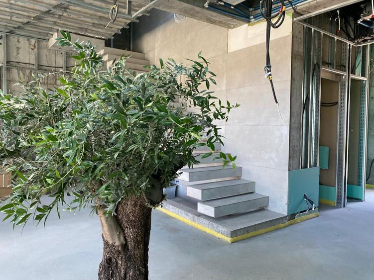 Casă individuală cu 6 camere în Petrești - 17