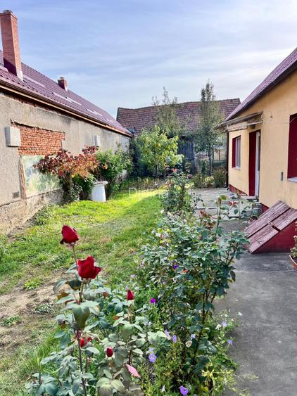 Casa 2 camere + bucatarie, teren 320 mp sat Ariusd jud. Covasna - 2