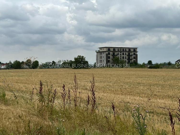 Pantelimon -Lebada- str.Olanesti(spre fabrica de Paine), 5000 mp. - 2