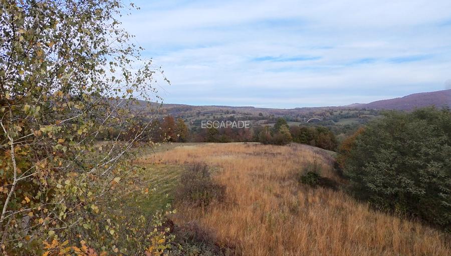 Comision 0%, teren extravilan 12497 mp Sinca Noua - 31