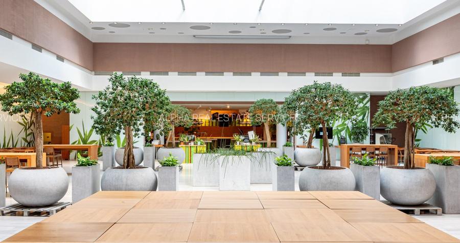 BIROURI CLASA A CU CHIRII AVANTAJOASE - 2