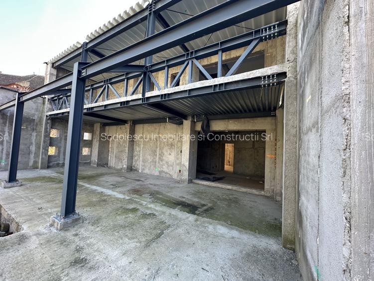 Proiect deosebit zona Medicina / Isho - 9