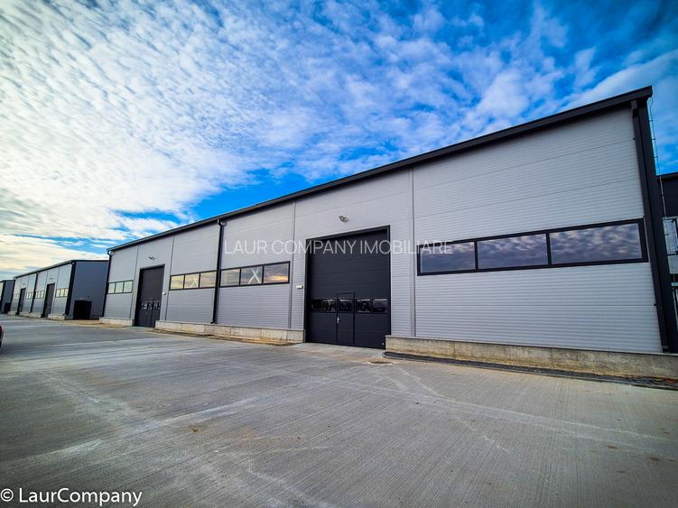 Hale,spatii industriale Albota,Pitesti Arges - 3