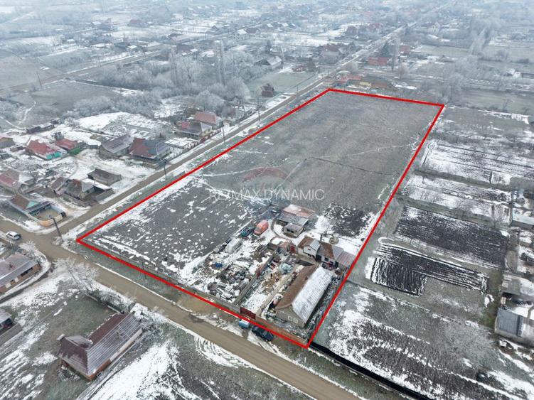 Teren intravilan de vânzare 11.971 mp, Șimand, jud. Arad - 2