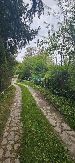 Teren Breaza  800mp pe colina priveliste superba - 18