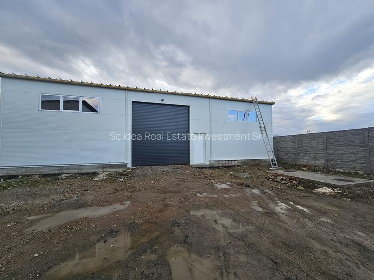 Hale noi depozitare Lugoj diferite dimensiuni 115 mp - 530 mp utili!! - 8
