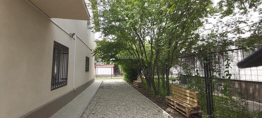 Padurea Baneasa Aleea Teisani Sector 1 - 6