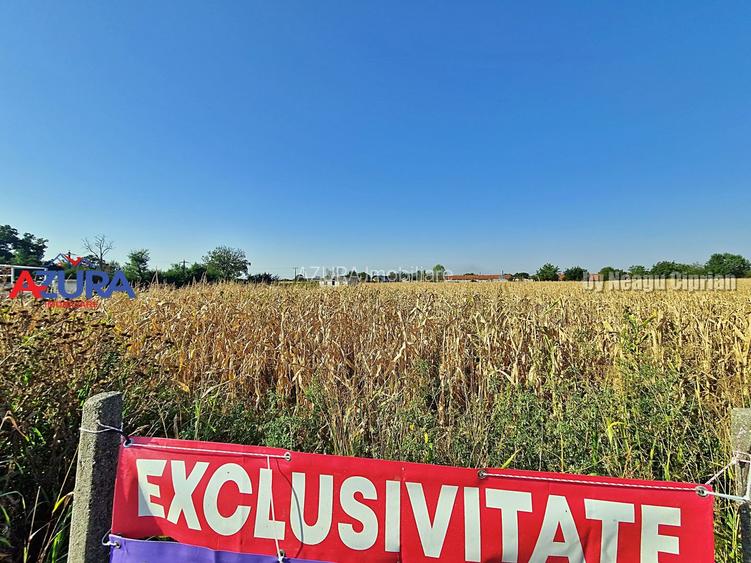 AZURA Imobiliare - Teren la DN7 langa Gaesti, Crangurile - Badulesti - 24