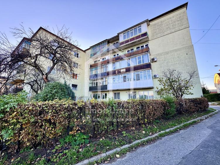 Apartament cu 3 camere, 2 balcoane, etaj 2/4, Terezian - 19