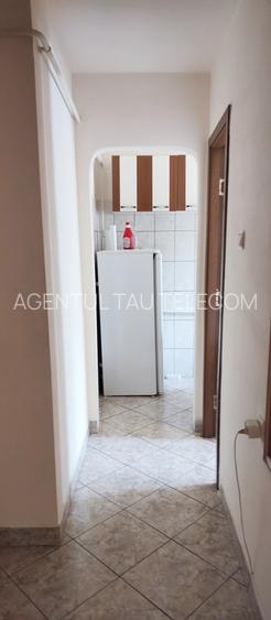 Apartament 1 camera, D, Tudor - Bucsinescu - 8