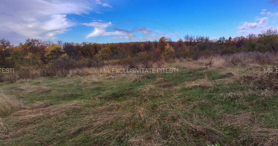 Teren intravilan 6975 mp front stradal 47.70 m in Mosoaia Arges si padure bonus - 9