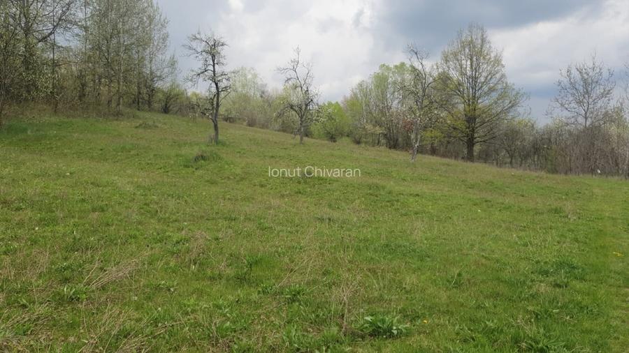 OPORTUNITATE UNICĂ ÎN TOMȘANI (LÂNGĂ HOREZU) – ANSAMBLU TERENURI 9.364 MP - 8