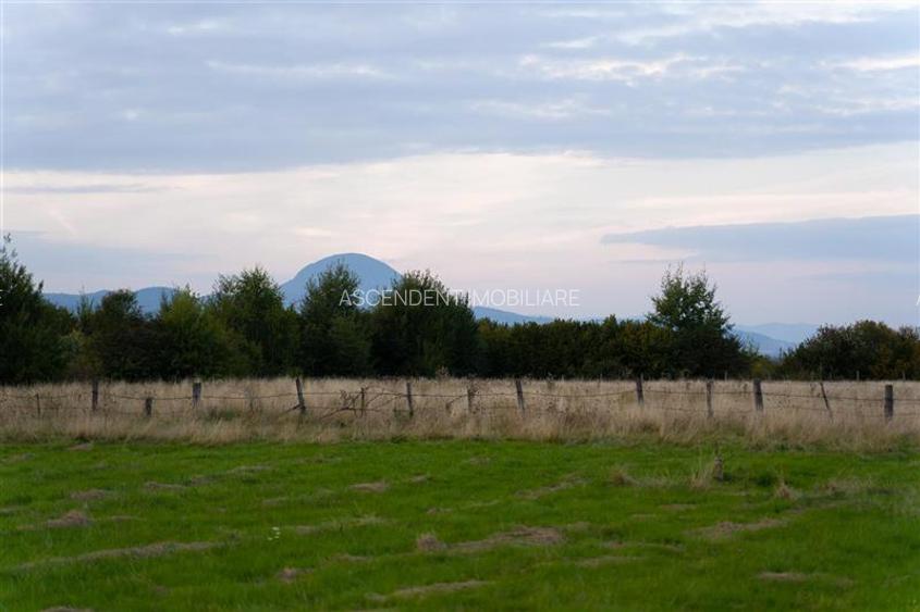 FILM! Parcela imprejmuita,design casa,aviz constructie,1.085 mp,Panicel,Rasnov - 20