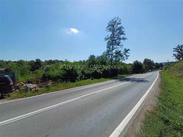 Resita, Teren Intravilan 5615 Mp., 25 Euro Mp., Calea Caransebesului, Memento - 18