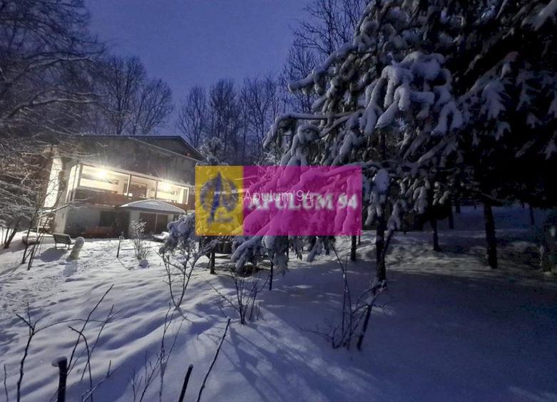 Casă de vânzare în Provița de Jos - 33