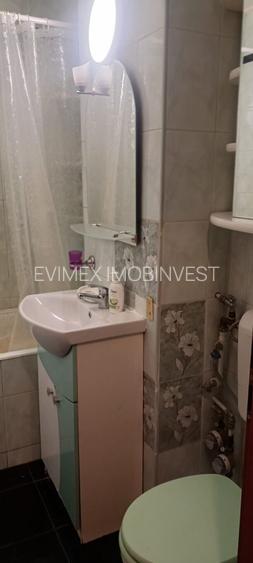 Salajan  - Statuie inchiriere ap. 2 camere - 10