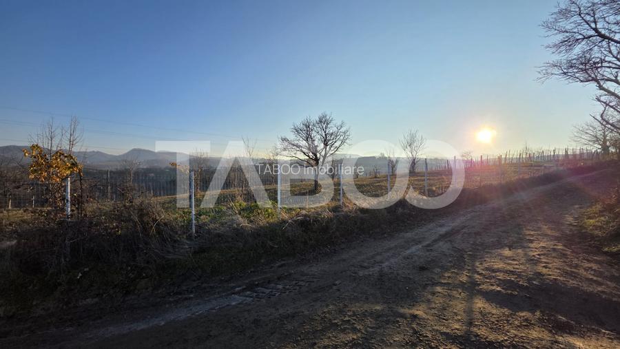 Teren 1974 mp intravilan de vanzare in Loman judetul Alba - 5