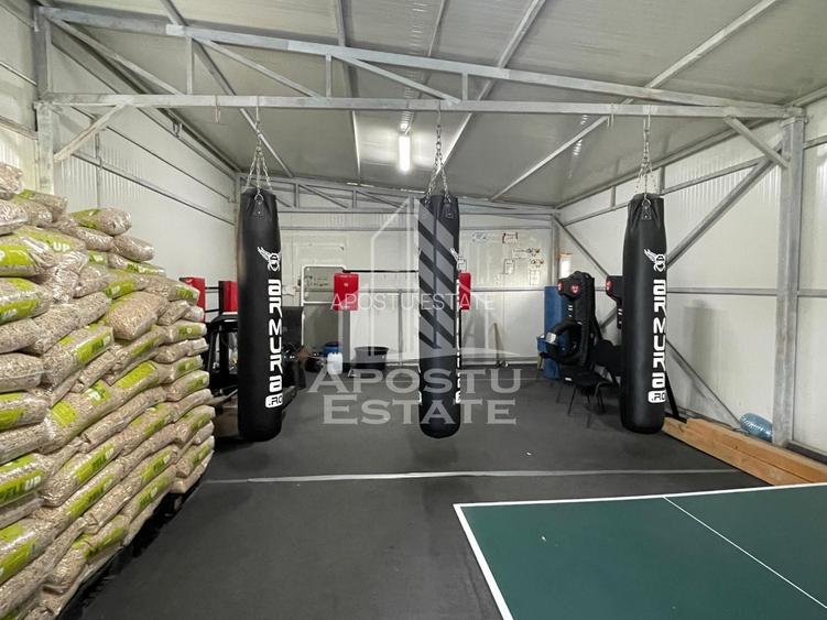 Vila superba central Carpinis - 19